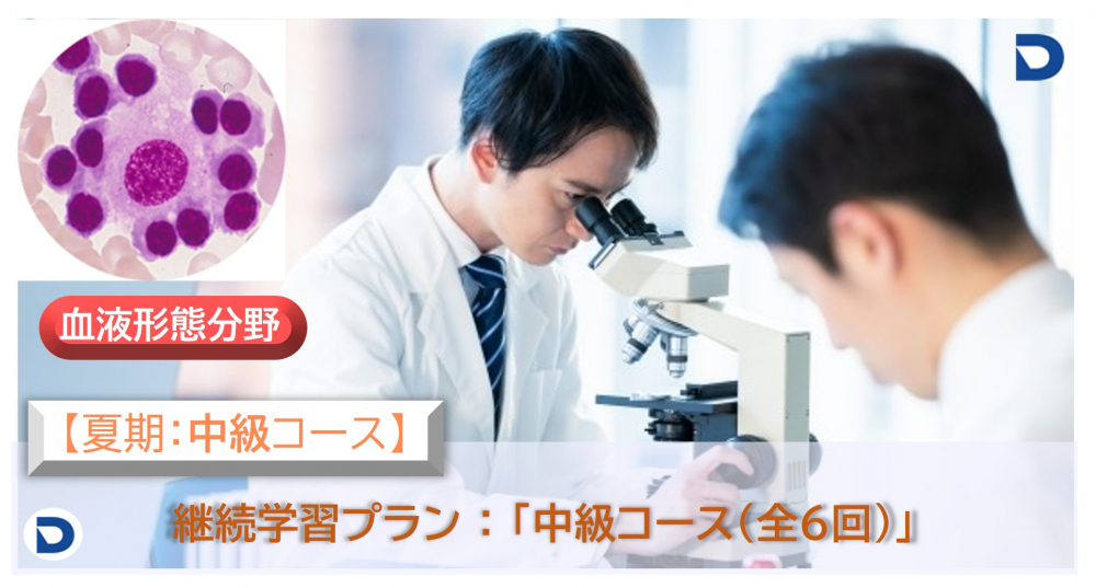 血液形態分野:中級コース【夏期】
(2025.7-9月 全6回)