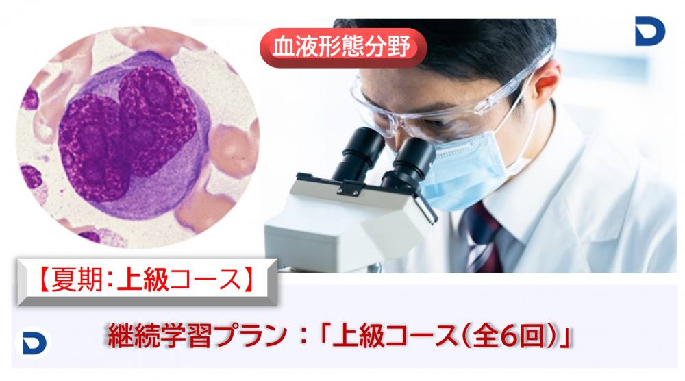 血液形態分野:上級コース【夏期】
(2025.7-9月 全6回)